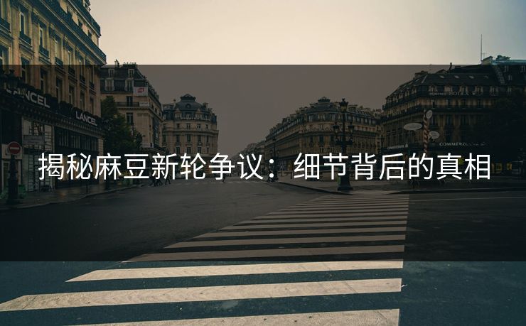 揭秘麻豆新轮争议：细节背后的真相
