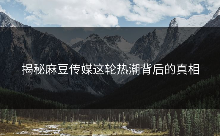 揭秘麻豆传媒这轮热潮背后的真相