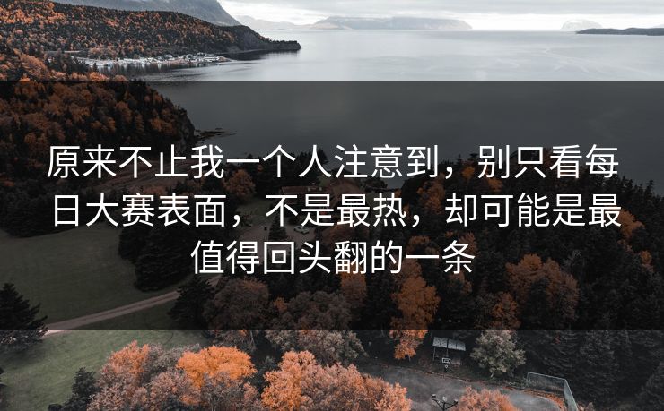 原来不止我一个人注意到，别只看每日大赛表面，不是最热，却可能是最值得回头翻的一条